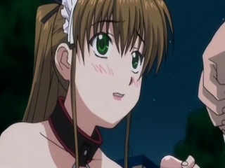 Ass fucked hentai babe