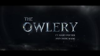 Chode Wang and the Owlery – Gobbywarts//School of Sexcraft and Wickedry//SIMS 4//Harry Potter Rule 34 Porn