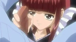 HENTAIPROS – Dollhouse