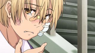 Swamp Stamp Anime Edition