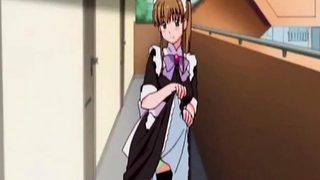 Maid masturbates hard